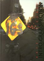 © Intro-Graz-Spection