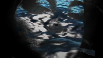 Videostill © 4youreye