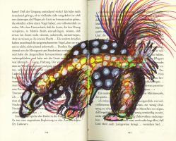 Foto © Joachim J. Vötter