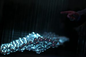 Foto © Barbara Palffy