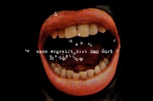 Foto © Videotextfestival