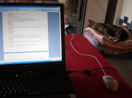 Foto © Joachim J. Vötter