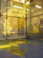 Foto © Joachim J. Vötter