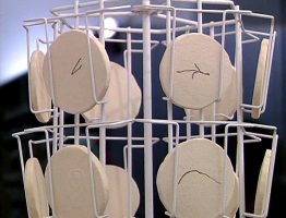 Foto © Heinz Pachernegg