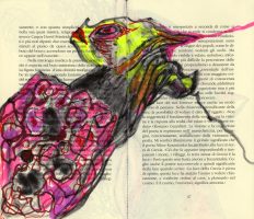 Foto © Joachim J. Vötter