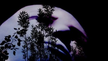 Videostill © 4youreye